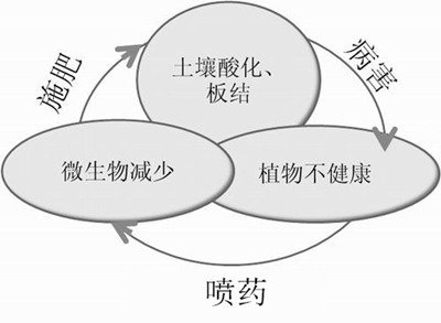 化肥不等于科學(xué)，請(qǐng)客觀評(píng)判！